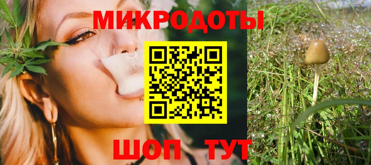 Псилоцибиновые грибы прущие грибы Аша