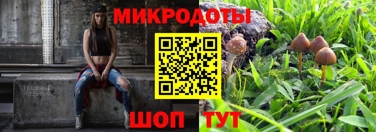 Псилоцибиновые грибы GOLDEN TEACHER  Вход с VPN  Псилоцибиновые грибы мухоморы  где купить наркотик  Аша 